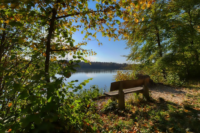 关键作用 关键作用