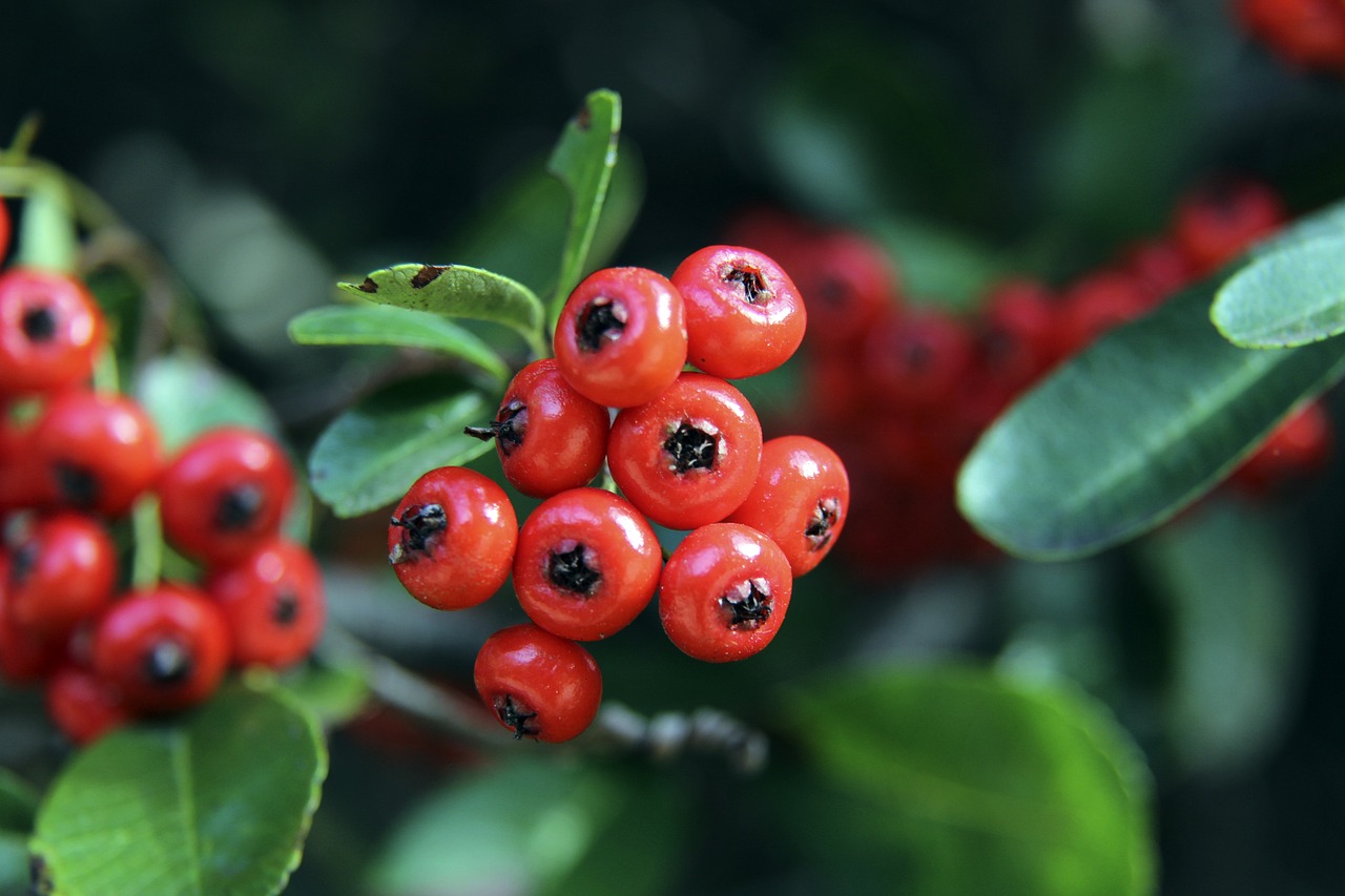 快船132-100篮网2连胜，评分：哈登满分、莱昂纳德满分 鲍威尔6分.