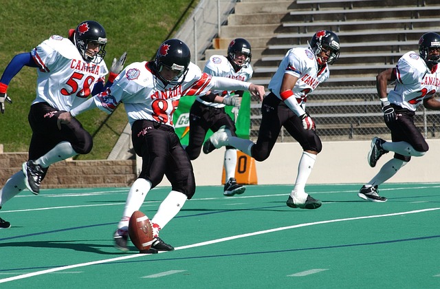 瓷器作为中 瓷器作为中