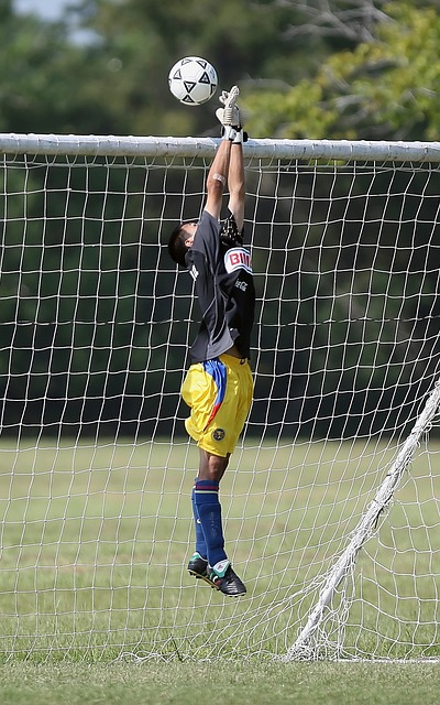 重要性不言 重要性不言